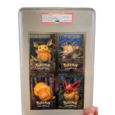 Pokemon TCG Play Sticker Sheet - Falkner's Challenge Pokemon TCG Play Sticker Sheet - Falkner's Challenge