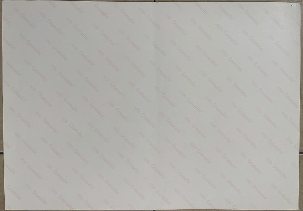 Nintendo 2001 Pokémon Sticker Uncut Sheet - Non-Holo Version