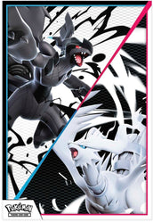 Scarlet & Violet - Black & White Unova Poster