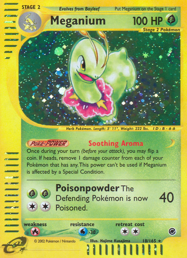pokemon card meganium Amazon.com: Pokemon TCG: Mega Evolution